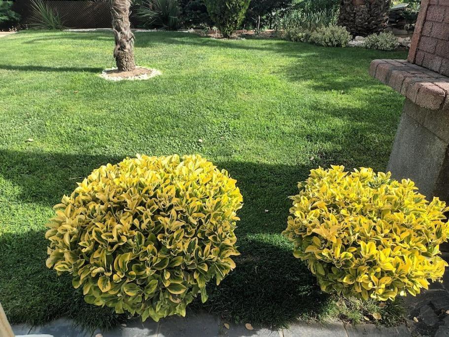 Madrid City Modern Apartment In Villa, Free Wifi Arroyomolinos Εξωτερικό φωτογραφία
